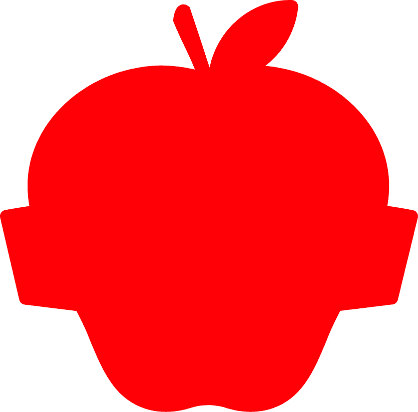 N.Y.C. Inauguration 2026